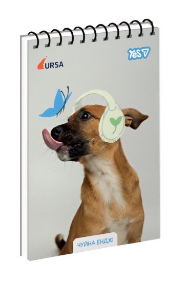 Зошит для записів Yes Ursa Чудова Енджі А6 80 аркушів