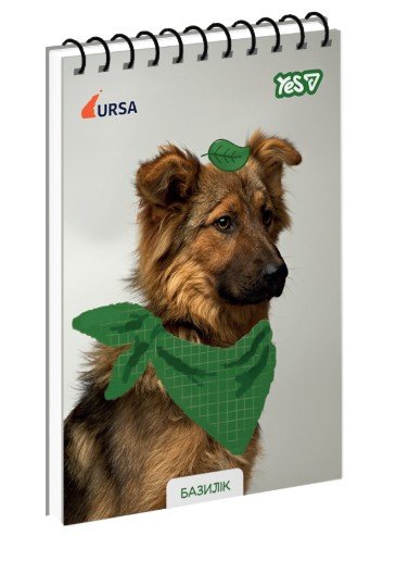 Зошит для записів Yes Ursa Базилік А6 80 аркушів